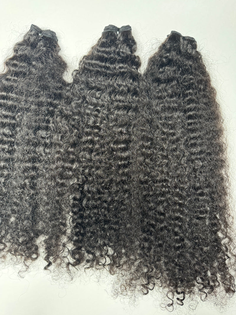 RAW Vietnamese Curly 3 Bundle Deals (Pre-Order)