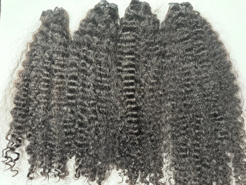 RAW Vietnamese Curly 4 Bundle Deals (Pre-Order)